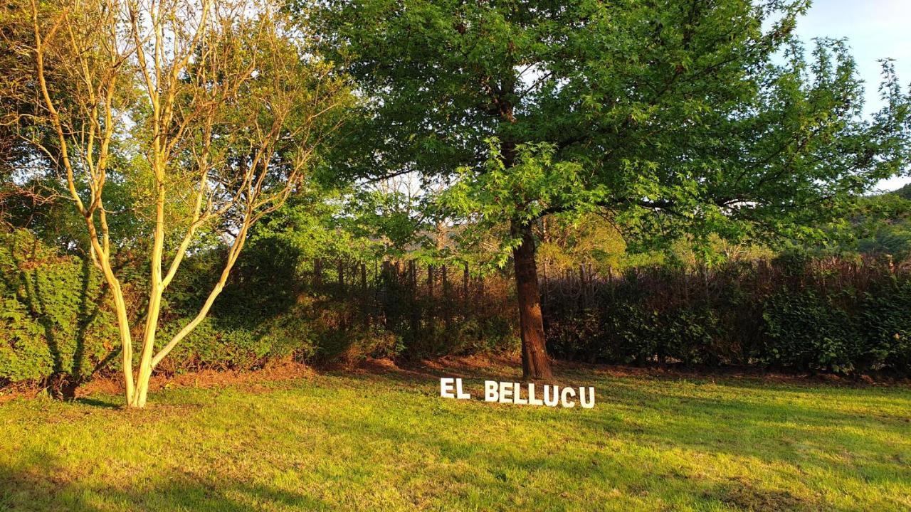 Casa Rural El Bellucu Кангас-де-Оніс Екстер'єр фото