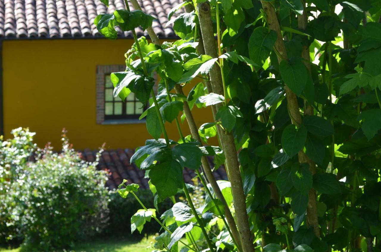 Casa Rural El Bellucu Кангас-де-Оніс Екстер'єр фото